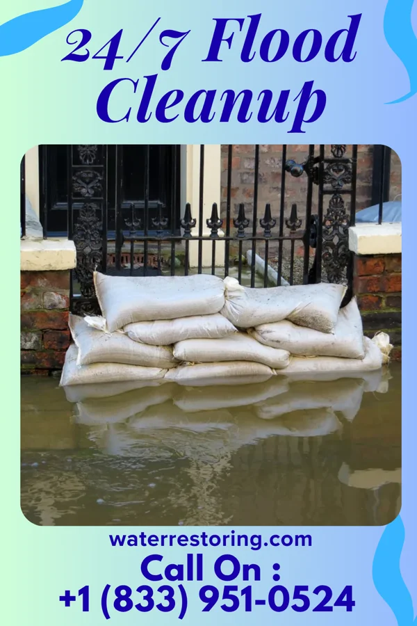 24/7 Flood Cleanup in Lincoln Park, MI