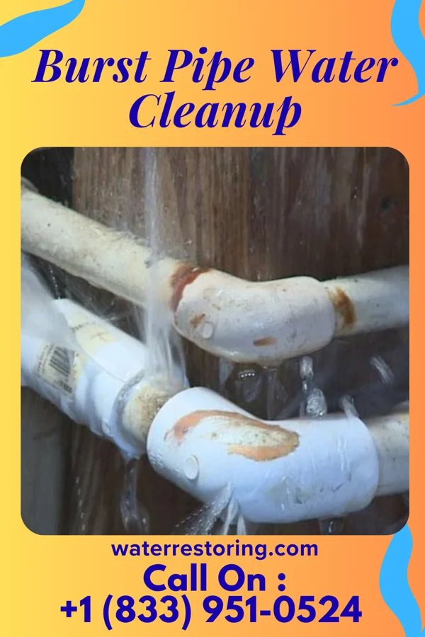 Burst Pipe Water Cleanup in Lincoln Park, MI