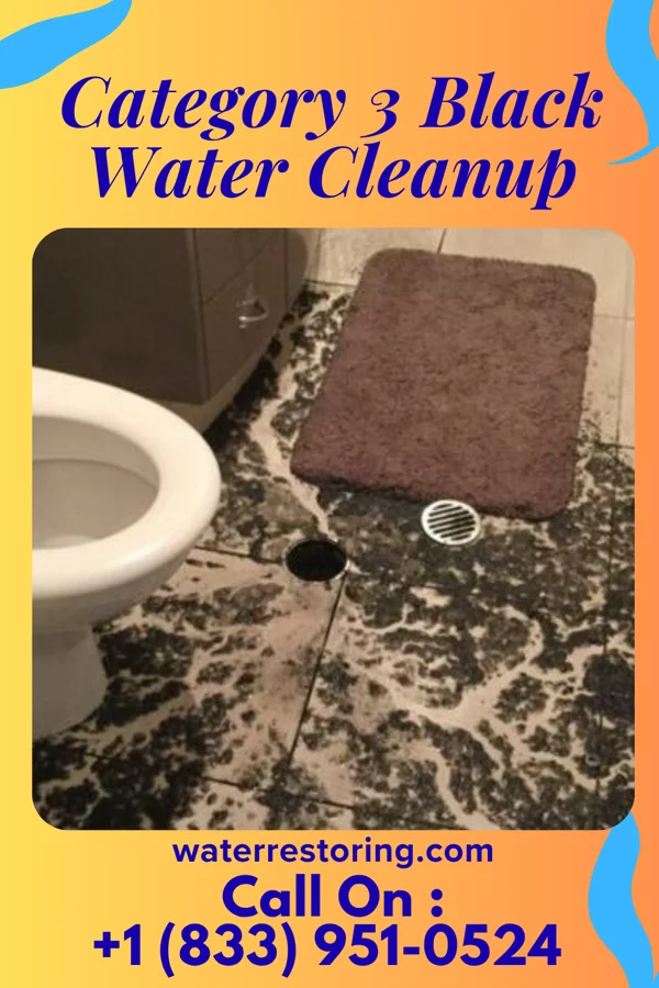 Category 3 Black Water Cleanup in Lincoln Park, MI