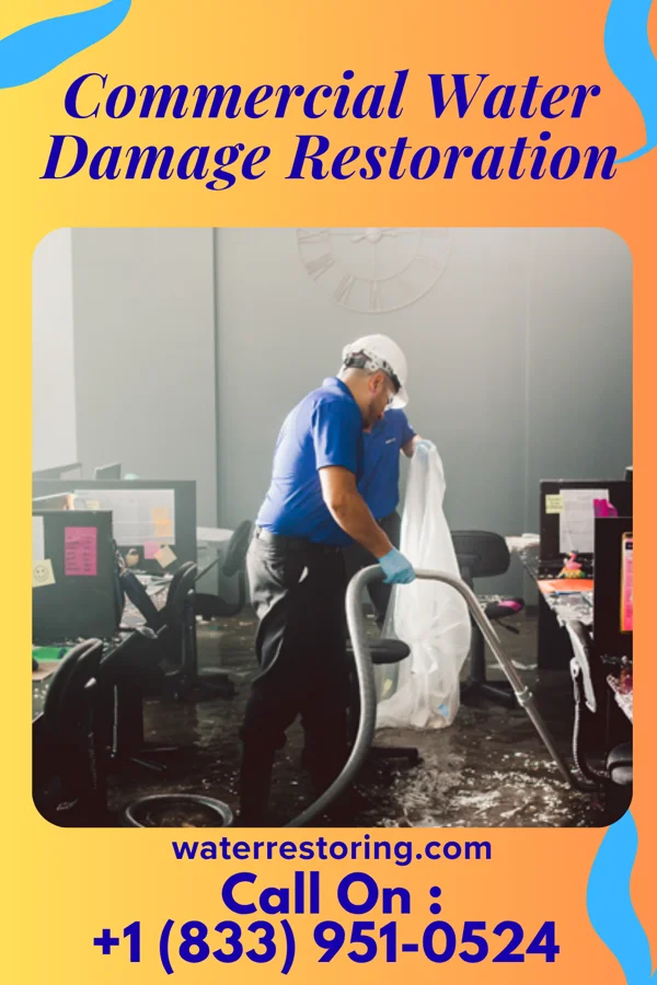 Commercial Water Damage Restoration in Lincoln Park, MI