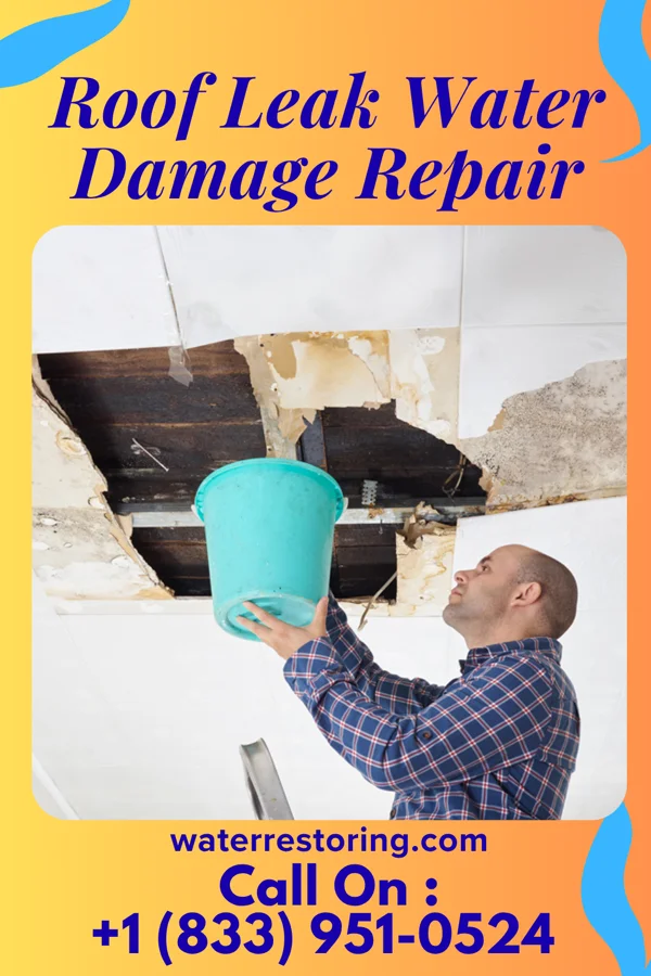 Roof Leak Water Damage Repair in Lincoln Park, MI