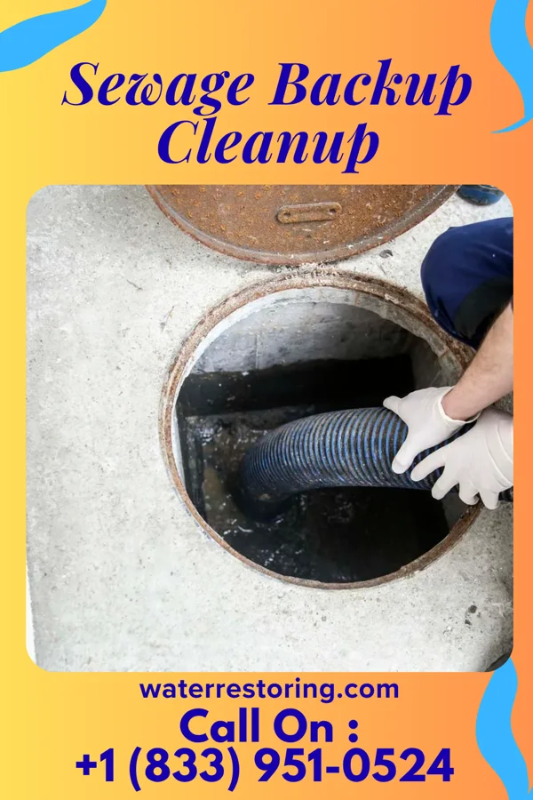 Sewage Backup Cleanup in Lincoln Park, MI
